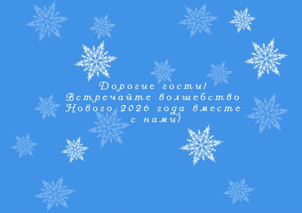 Новогодняя ночь 2026